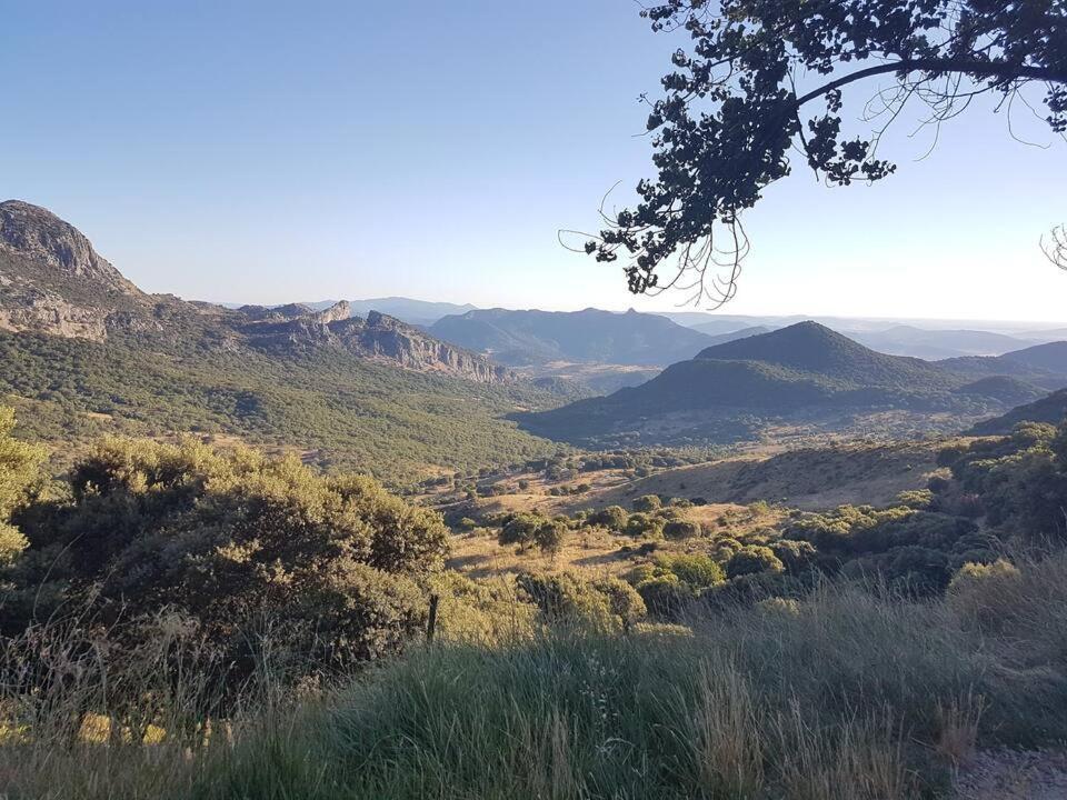 Un Paraiso En *